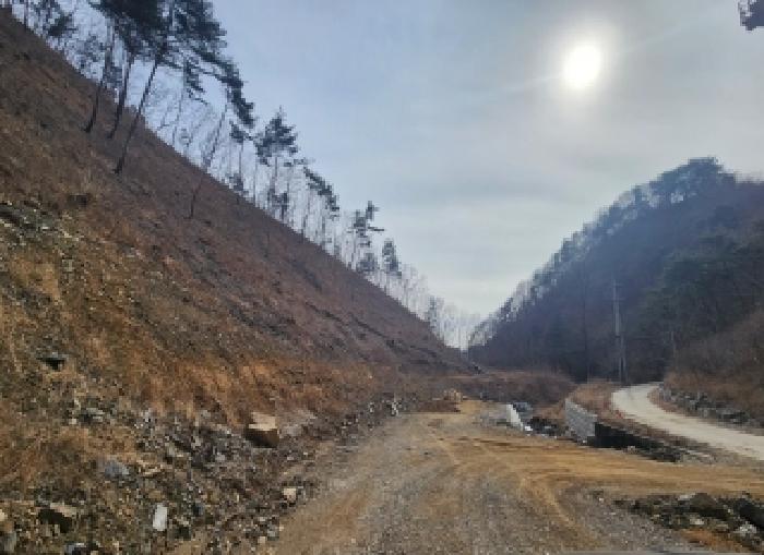 충북 옥천군 안내면 임야 경매 물건 사진 6 · 2026타경5