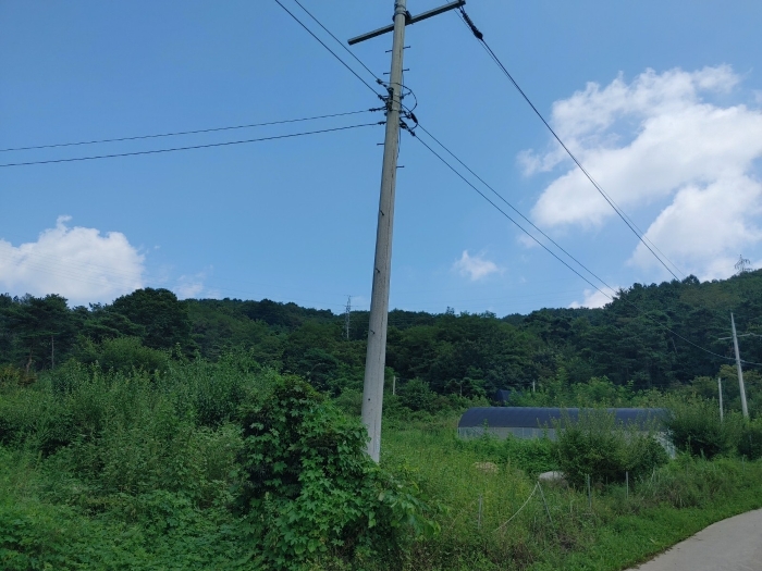 충남 금산군 추부면 임야 경매 물건 사진 5 · 2023타경111292