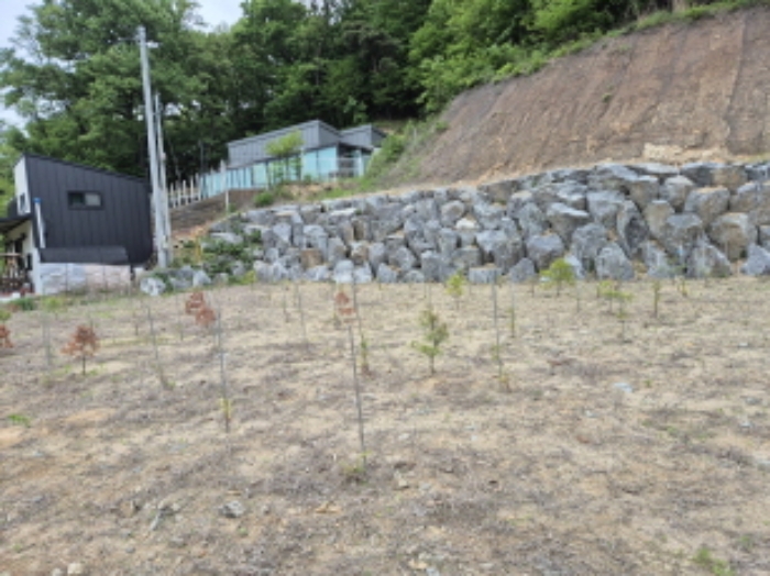 세종 장군면 전 경매 물건 사진 4 · 2024타경107801