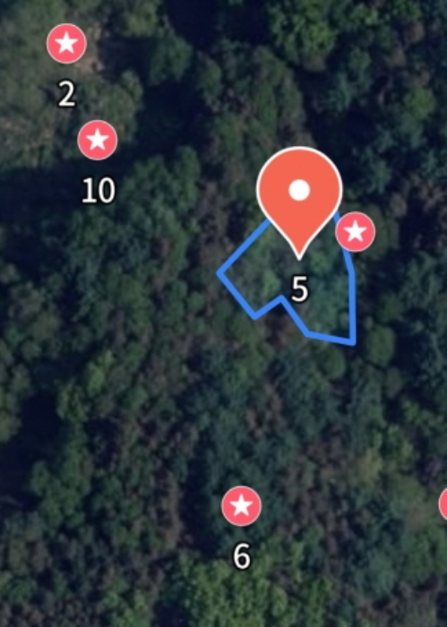 충남 금산군 제원면 전 경매 물건 사진 6 · 2024타경11528