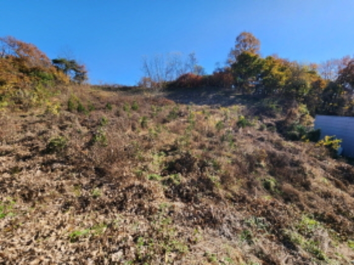세종 장군면 근린생활시설 경매 물건 사진 5 · 2024타경121272