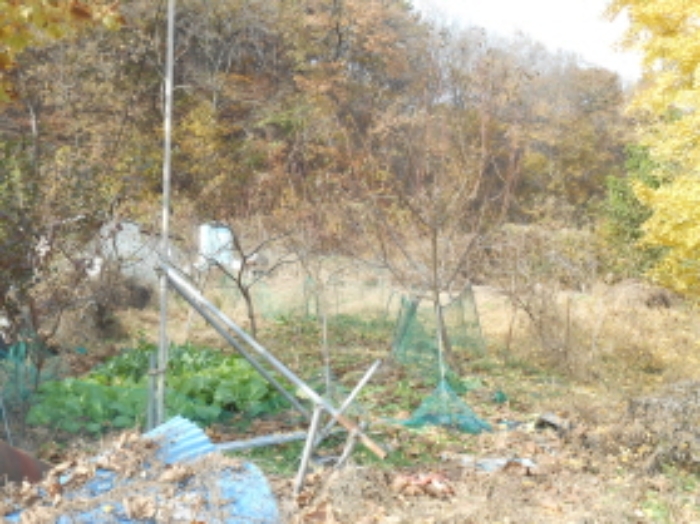 세종 전동면 전 경매 물건 사진 3 · 2024타경121746