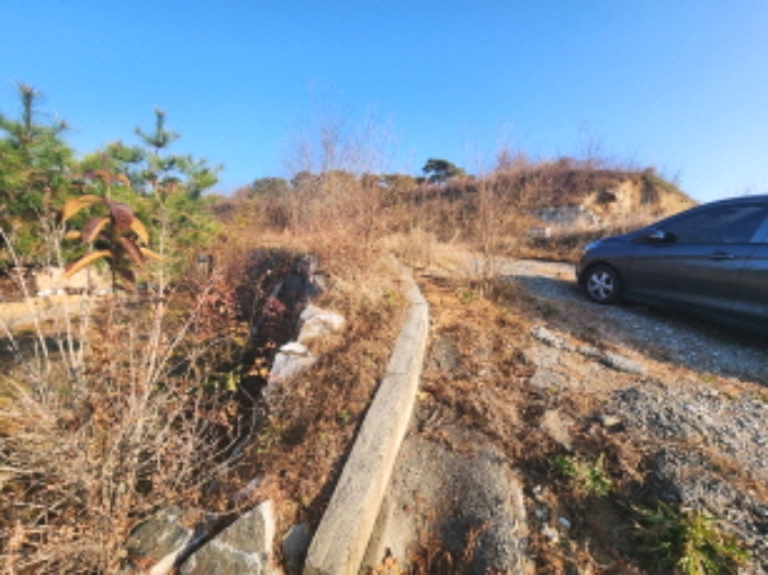세종 장군면 전 경매 물건 사진