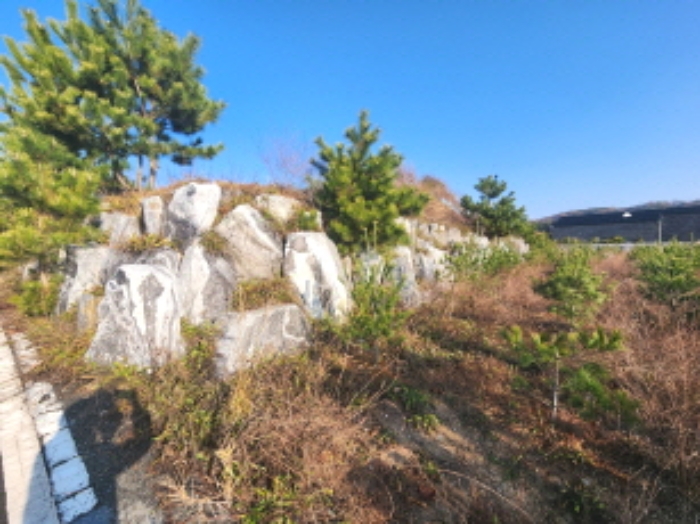세종 장군면 전 경매 물건 사진 4 · 2024타경122343