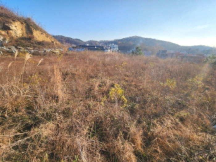 세종 장군면 전 경매 물건 사진 5 · 2024타경122343