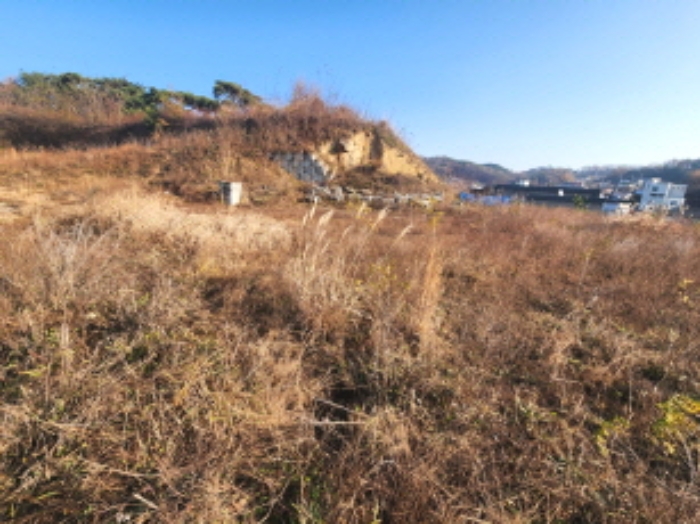 세종 장군면 전 경매 물건 사진 6 · 2024타경122343