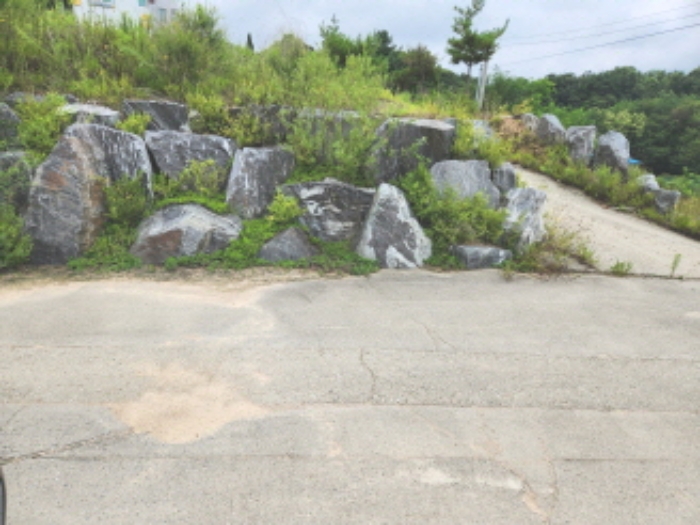 세종 장군면 도로 경매 물건 사진 2 · 2024타경7246