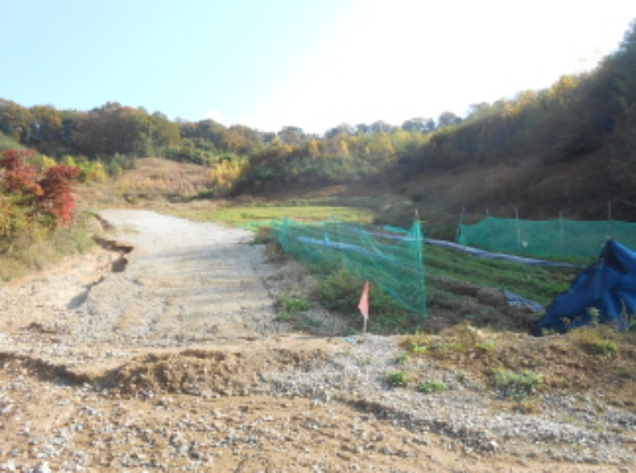 세종 전동면 도로 경매 물건 사진 6 · 2024타경9853