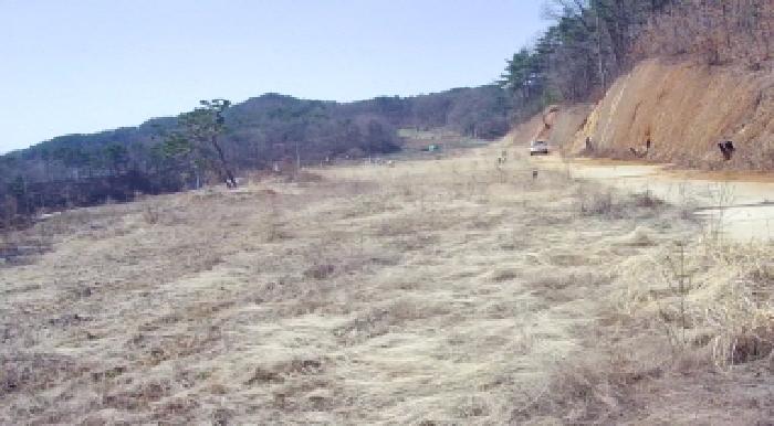 세종 장군면 도로 경매 물건 사진