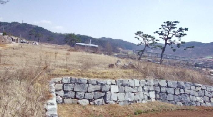 세종 장군면 도로 경매 물건 사진 5 · 2025타경2033