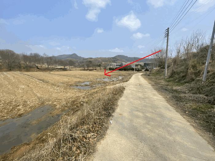 대전 유성구 신동 전 경매 물건 사진 4 · 2025타경2460