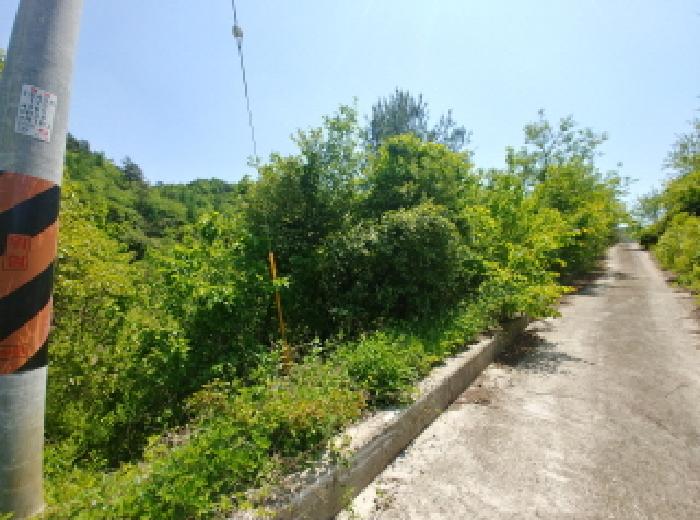 충남 금산군 진산면 전 경매 물건 사진 3 · 2025타경2859