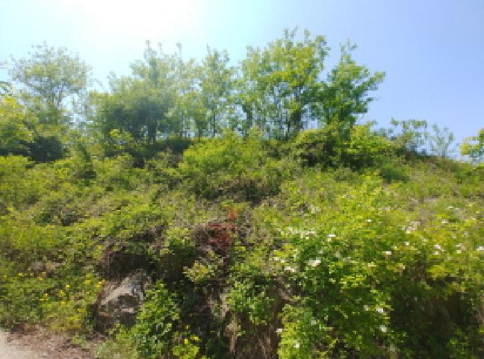충남 금산군 진산면 전 경매 물건 사진 4 · 2025타경2859