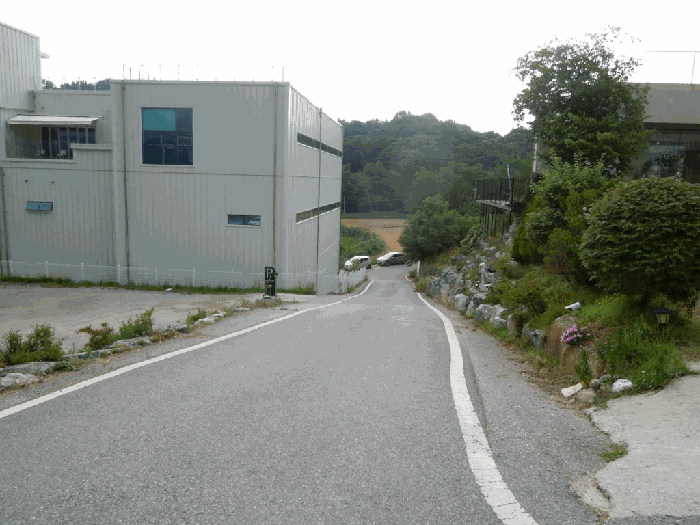 세종특별자치시 장군면 봉안리 216-7 임야 경매 물건 사진