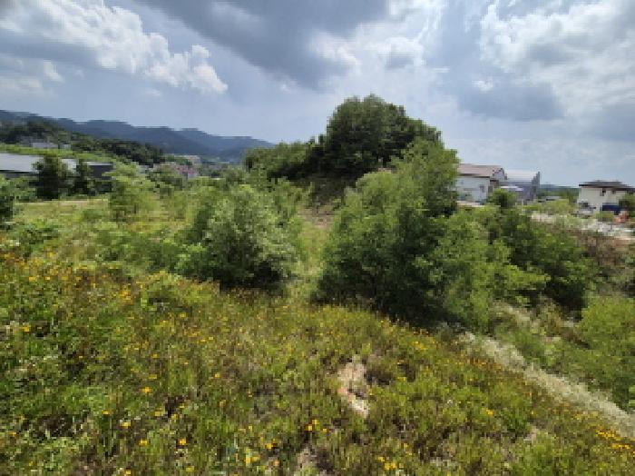 세종 장군면 임야 경매 물건 사진 5 · 2025타경3597