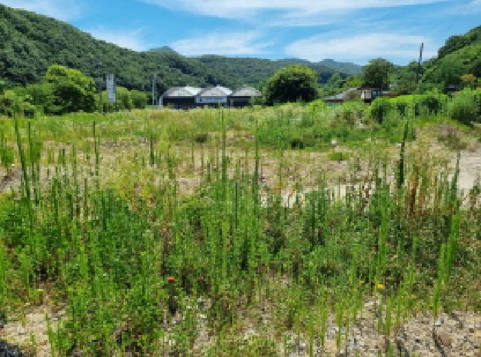 대전광역시 서구 흑석동 464-2 단독주택다가구 경매 물건 사진