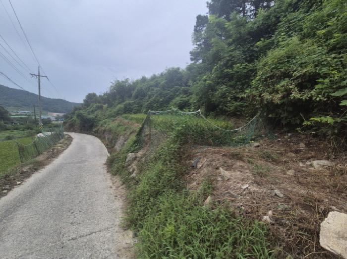 세종 부강면 답 경매 물건 사진 2 · 2025타경3798