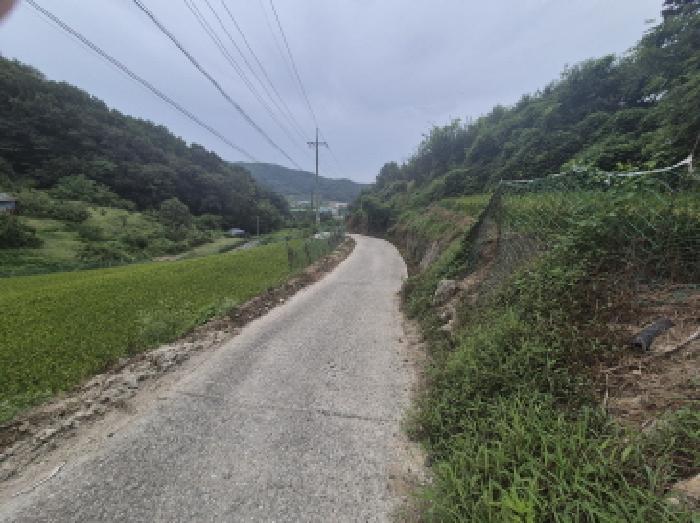 세종 부강면 답 경매 물건 사진