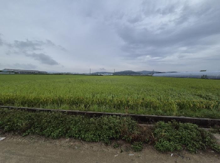충남 연기군 동면 답 경매 물건 사진 4 · 2025타경3805