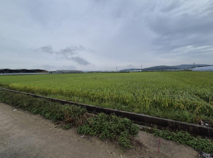 충남 연기군 동면 답 경매 물건 사진 5 · 2025타경3805