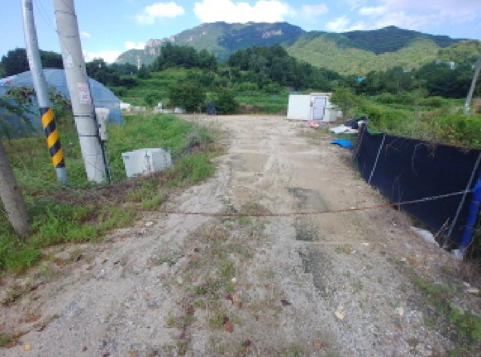 충남 금산군 추부면 전답 경매 물건 사진 6 · 2025타경3808