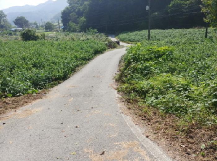 충남 금산군 진산면 단독주택다가구 경매 물건 사진 4 · 2025타경3821