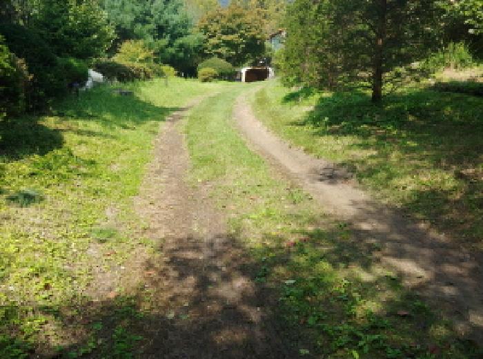충남 금산군 진산면 단독주택다가구 경매 물건 사진 6 · 2025타경3821