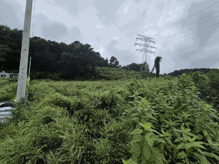 세종 연서면 전 경매 물건 사진