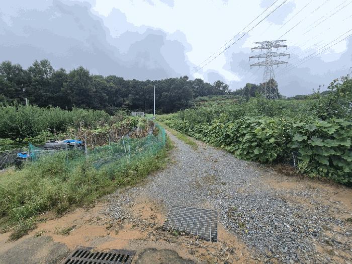 세종 연서면 전 경매 물건 사진 4 · 2025타경3829