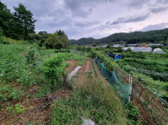 대전 서구 괴곡동 전 경매 물건 사진 2 · 2025타경3843
