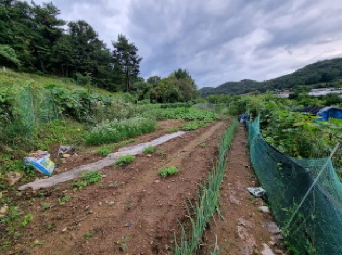 대전 서구 괴곡동 전 경매 물건 사진 4 · 2025타경3843
