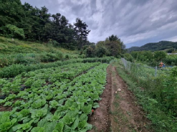 대전 서구 괴곡동 전 경매 물건 사진 5 · 2025타경3843