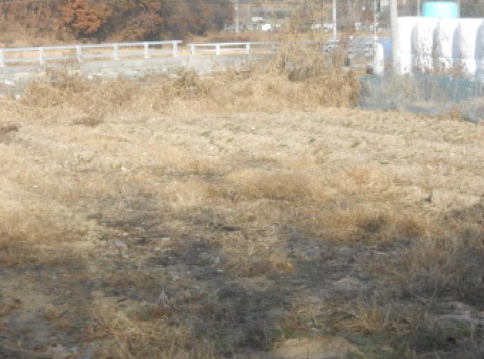 세종 연기면 전 경매 물건 사진 2 · 2025타경3964