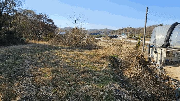 세종 연기면 전 경매 물건 사진 3 · 2025타경3964