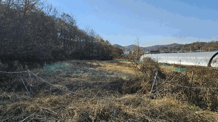 세종 연기면 전 경매 물건 사진 5 · 2025타경3964
