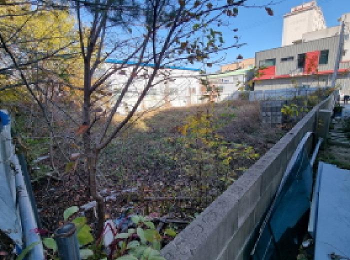 대전 동구 낭월동 대지 경매 물건 사진 5 · 2025타경3970