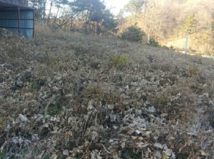 충남 금산군 금산읍 창고시설 경매 물건 사진 5 · 2025타경3971