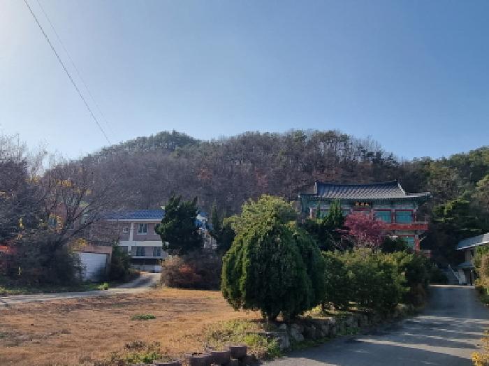 대전 동구 대별동 대지,임야,전답 경매 물건 사진 2 · 2025타경3995