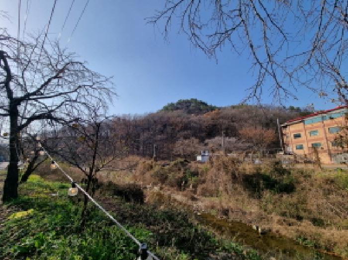 대전 동구 대별동 대지,임야,전답 경매 물건 사진 4 · 2025타경3995