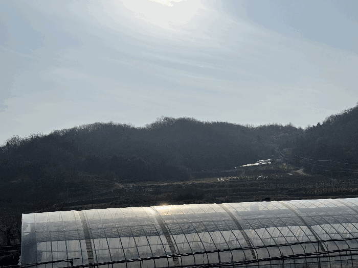 세종 연서면 임야 경매 물건 사진 4 · 2025타경4005
