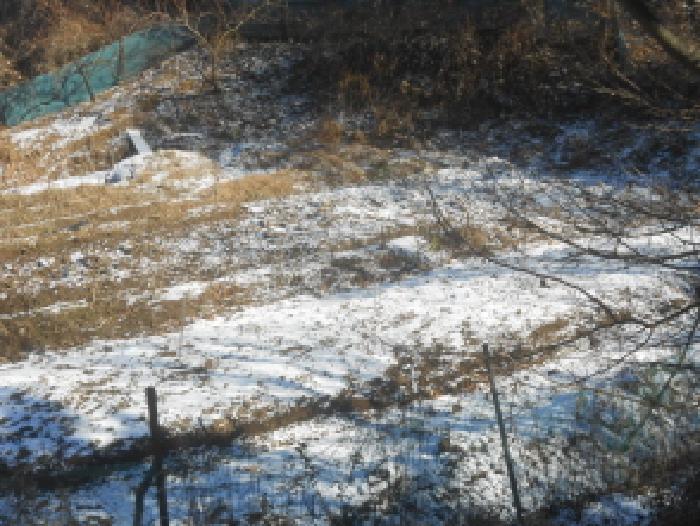 세종 연서면 임야 경매 물건 사진