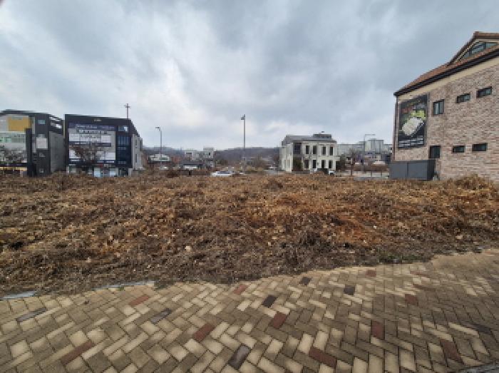 세종 고운동 대지 경매 물건 사진 2 · 2025타경4010