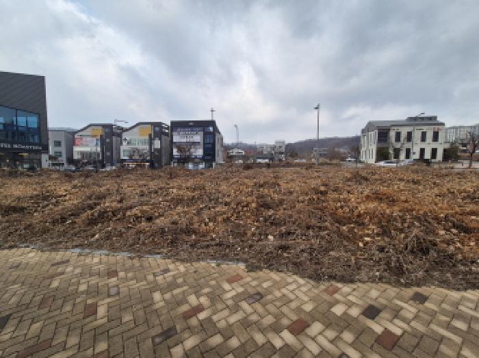 세종 고운동 대지 경매 물건 사진 3 · 2025타경4010