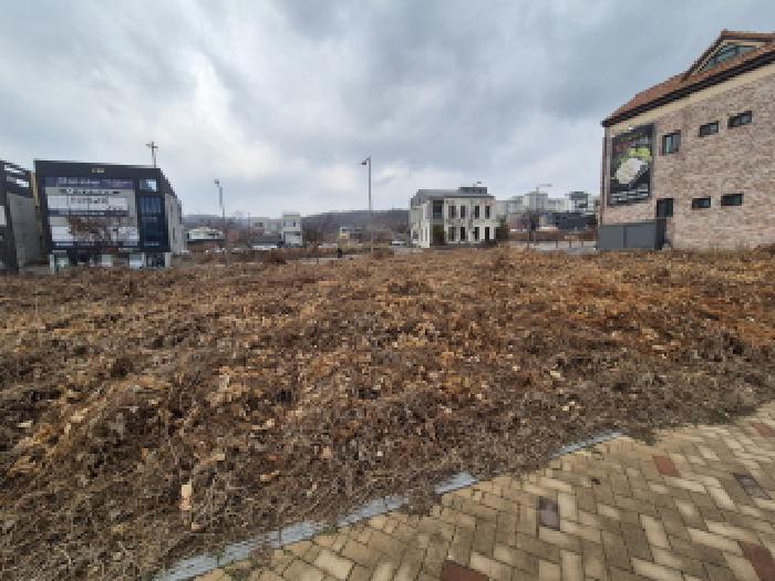 세종 고운동 대지 경매 물건 사진 4 · 2025타경4010