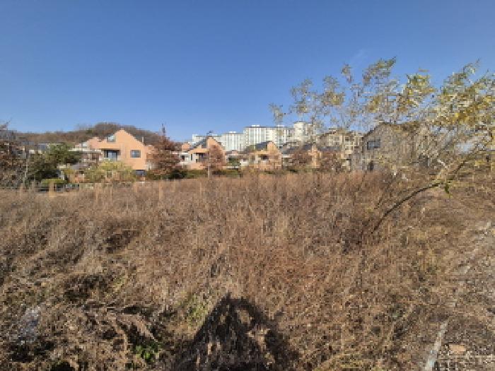 세종 고운동 대지 경매 물건 사진 2 · 2025타경4012