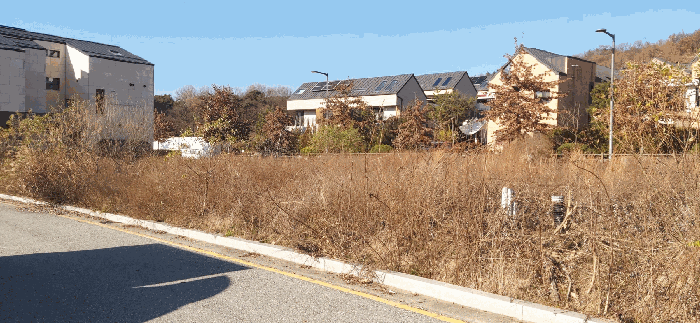 세종 고운동 대지 경매 물건 사진 6 · 2025타경4012