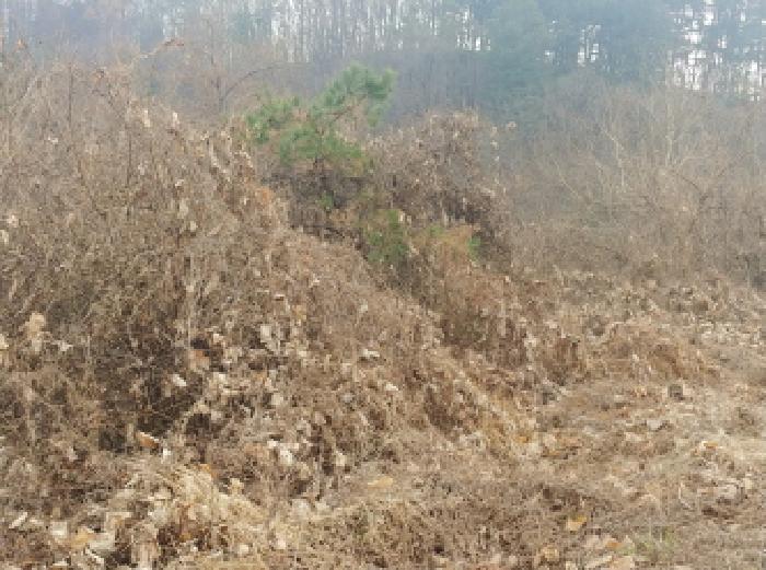 충남 금산군 진산면 전답 경매 물건 사진