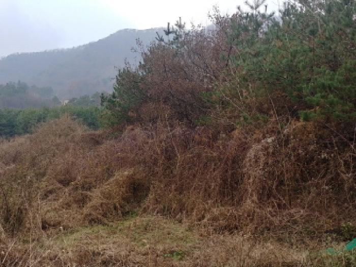 충남 금산군 진산면 전답 경매 물건 사진 3 · 2025타경4024