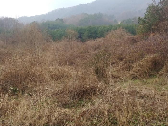 충남 금산군 진산면 전답 경매 물건 사진 4 · 2025타경4024