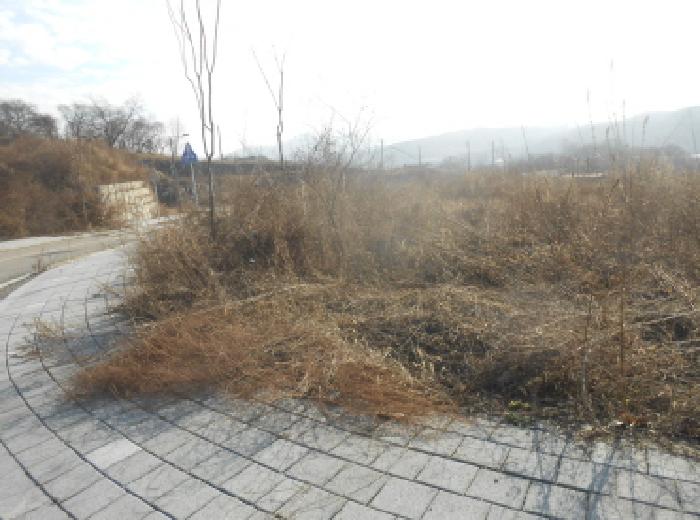 세종 전의면 대지 경매 물건 사진 2 · 2025타경4034